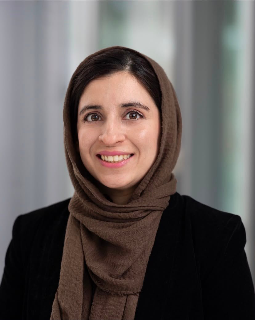 Dr. Azka Shahid Zergham, MD, ABIM